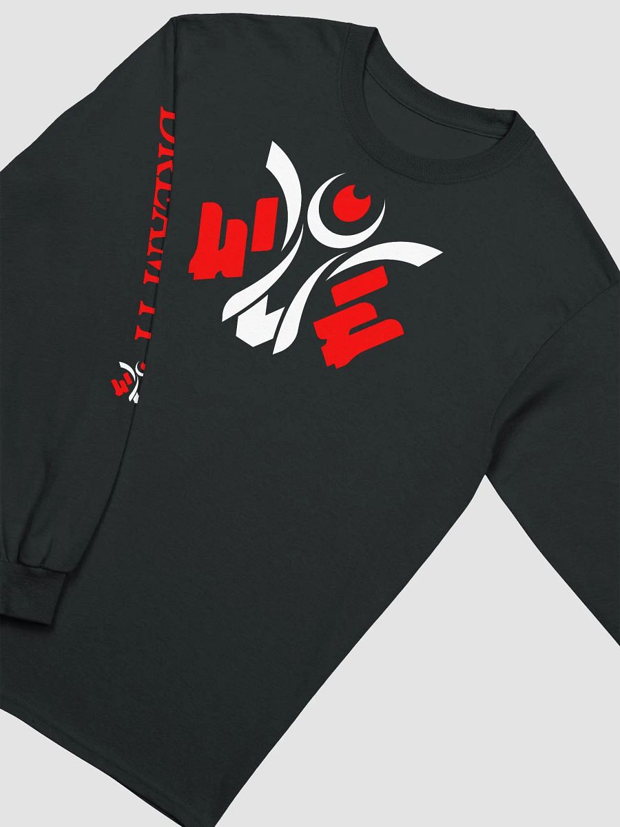 Visionary x Errah Dream It LongSleeve product image (3)