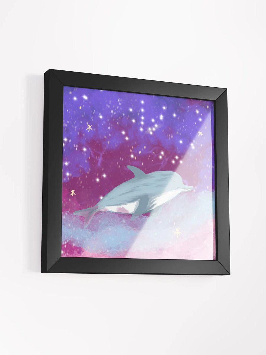 Dolphin Galaxy product image (8)