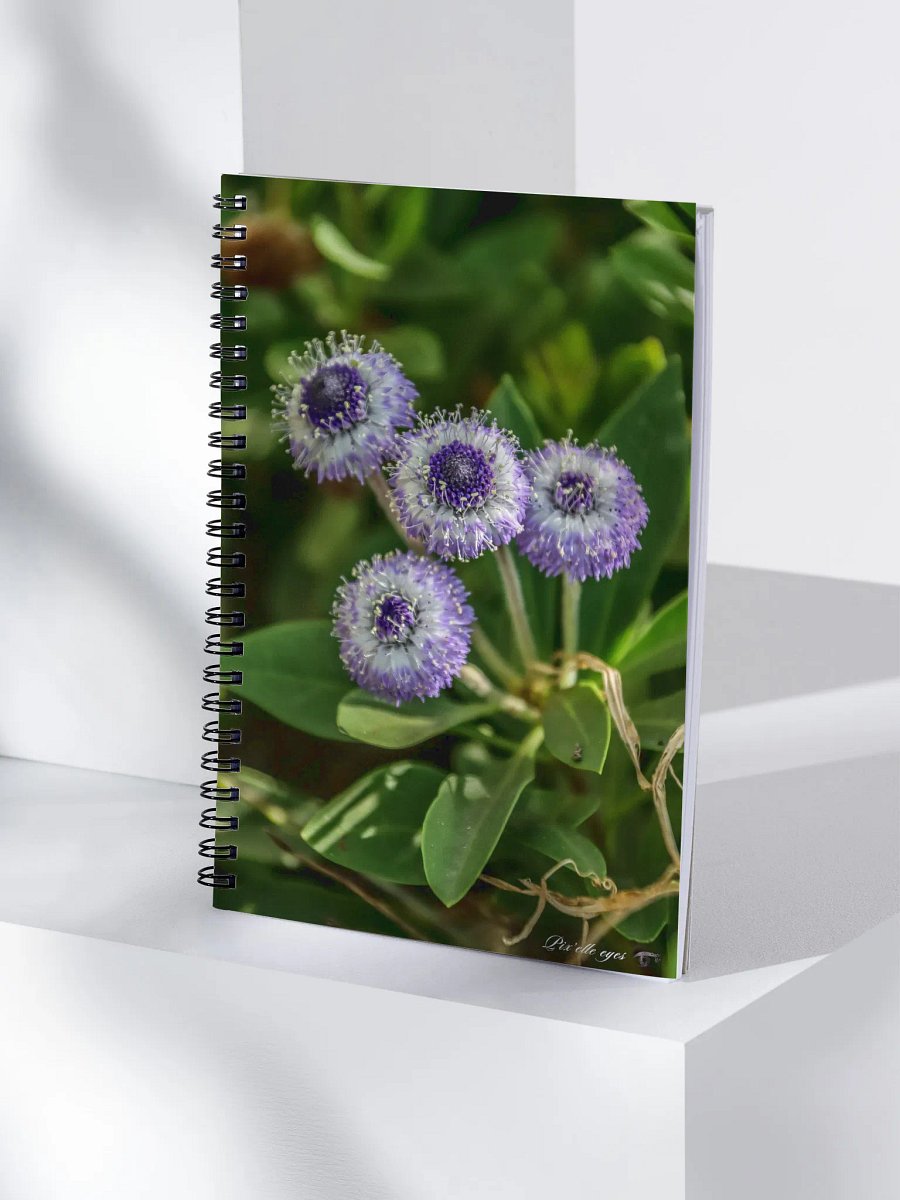 📘 Notebook Collection PURE – Jardin du Rayol – Globulaire maritime product image (4)