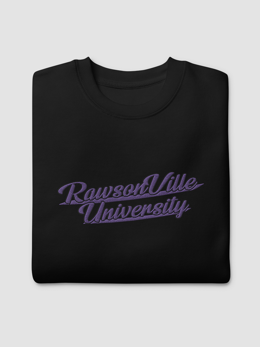 RVU: Embroidered Sweatshirt product image (4)