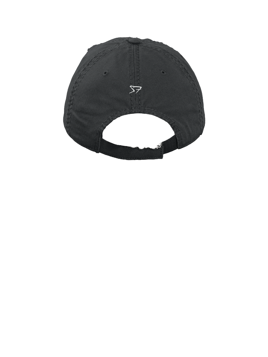 SOFYE WEAR: Otto Distressed Dad Hat product image (24)