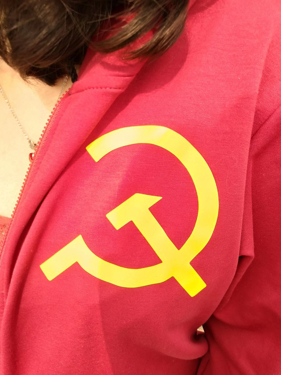 Hamsick Hoodie product image (3)