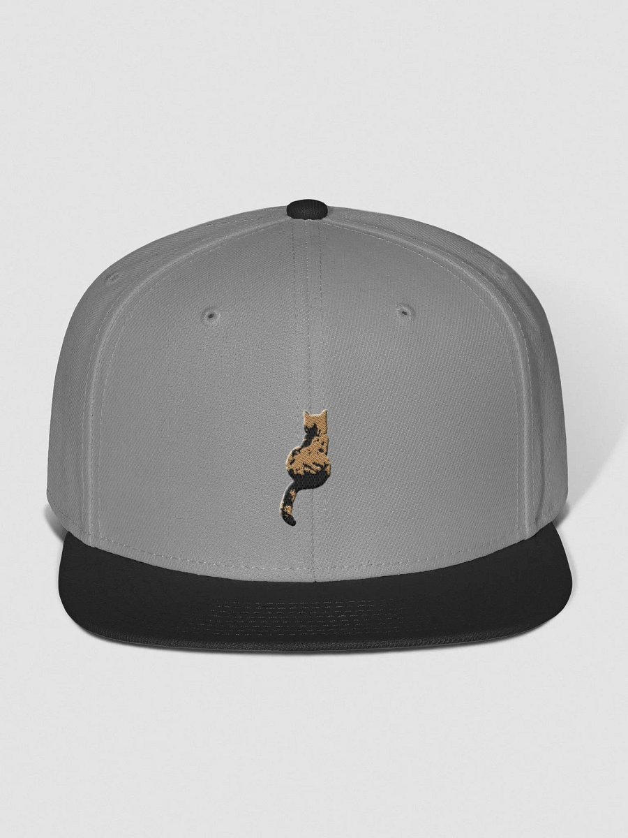 Cat Scoliosis Colored Threads Flat Snapback product image (1)