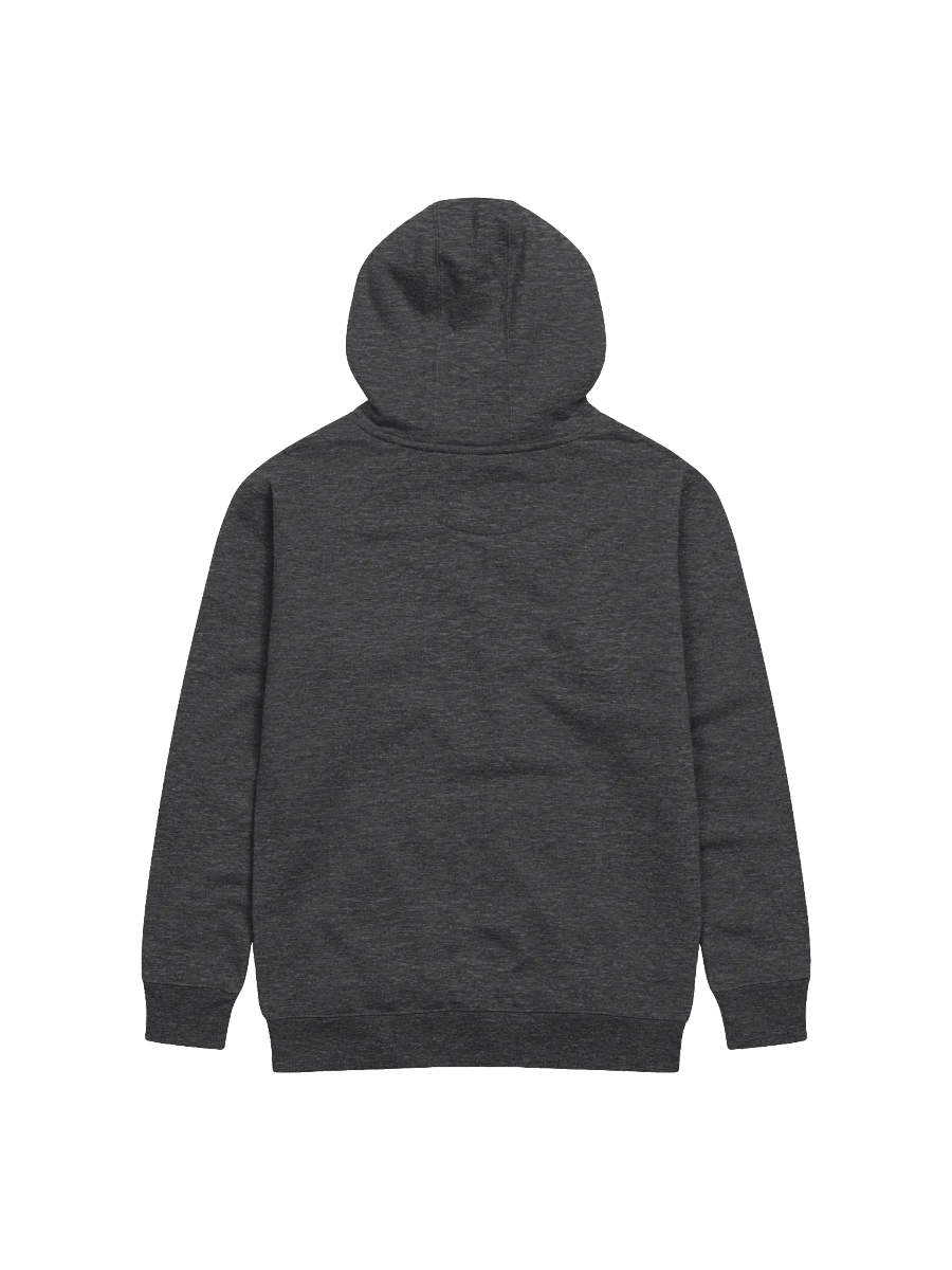 A Radiant Hodl Hoodie (Embroidered) product image (4)