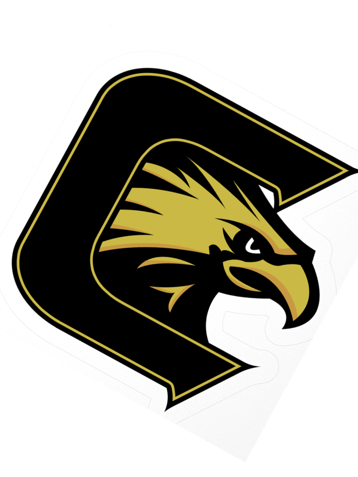 Falcon Kiss Cut Stickers product image (3)