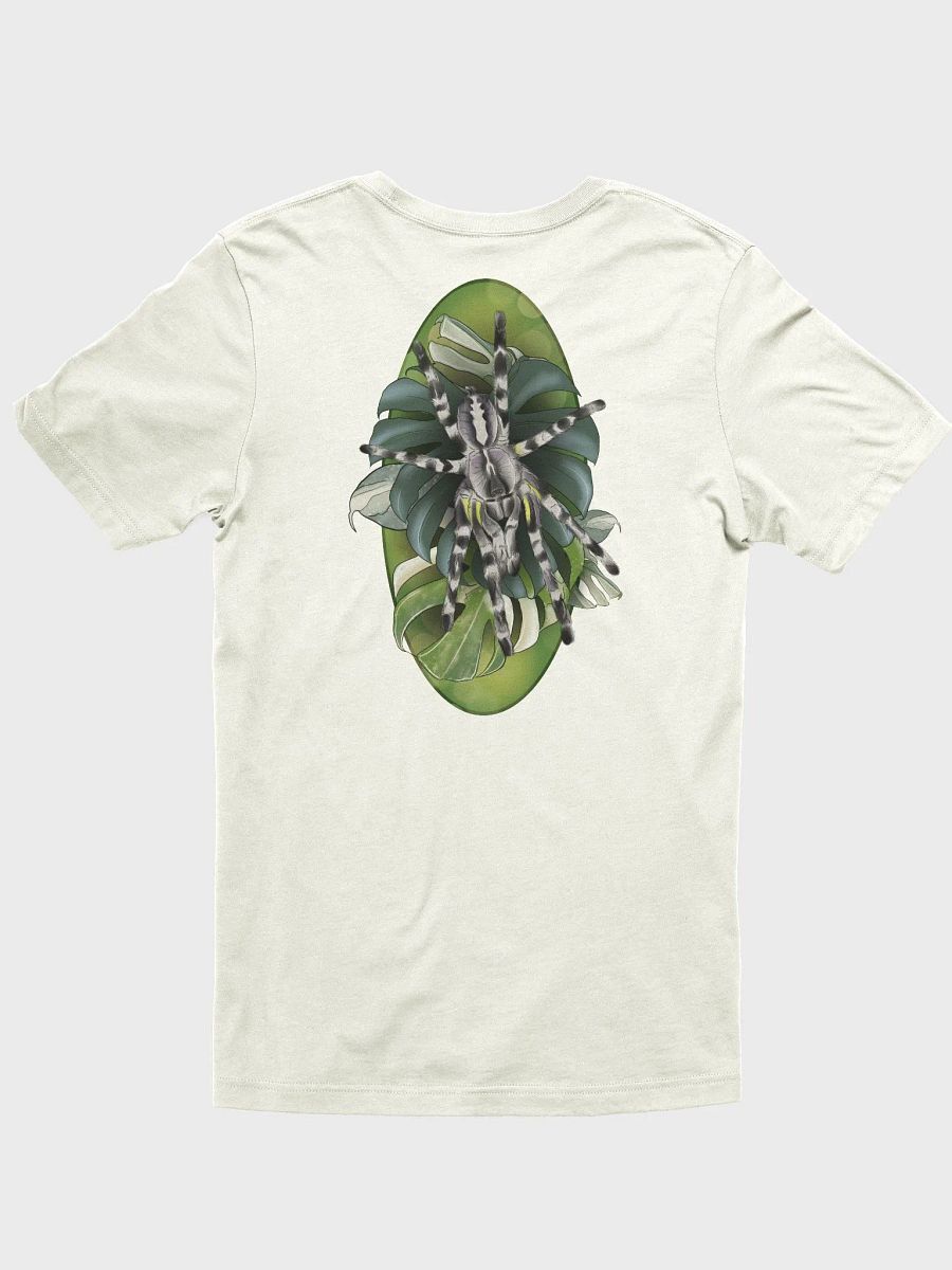 Poecilotheria regalis and Monstera product image (1)