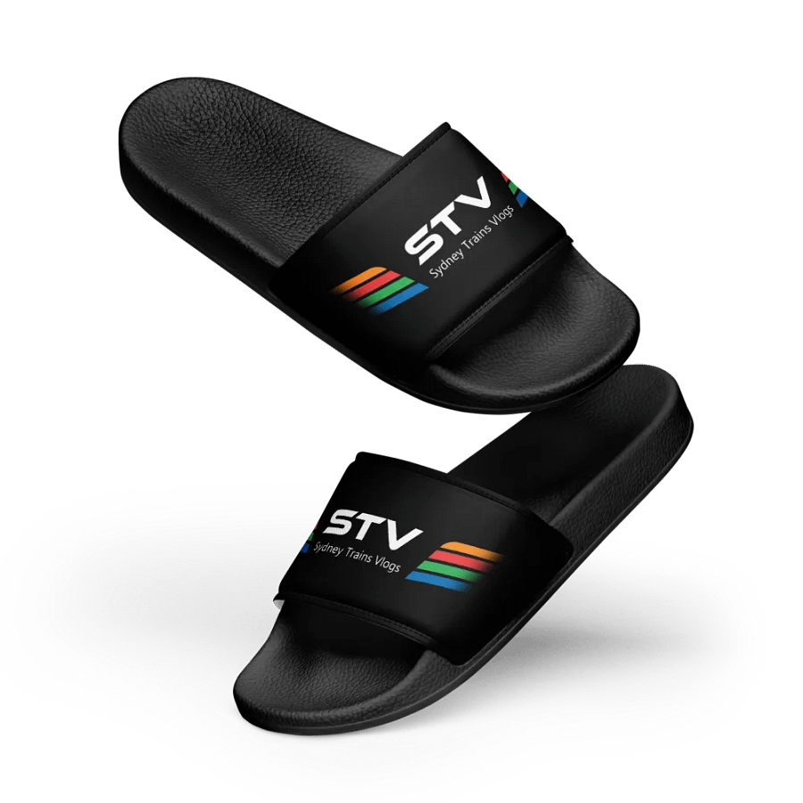 STV Slides product image (11)