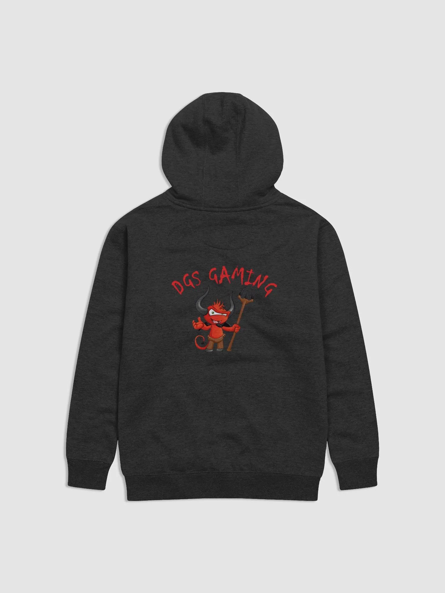 DGS hoodie with logo on back and front only product image (2)