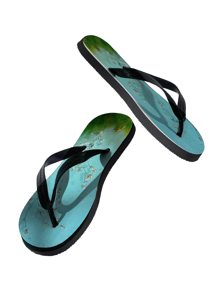 Flip flops - Trockenblumen product image (2)