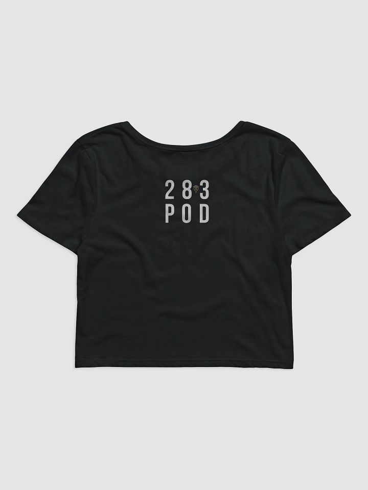 The 28 to 3 Podcast 