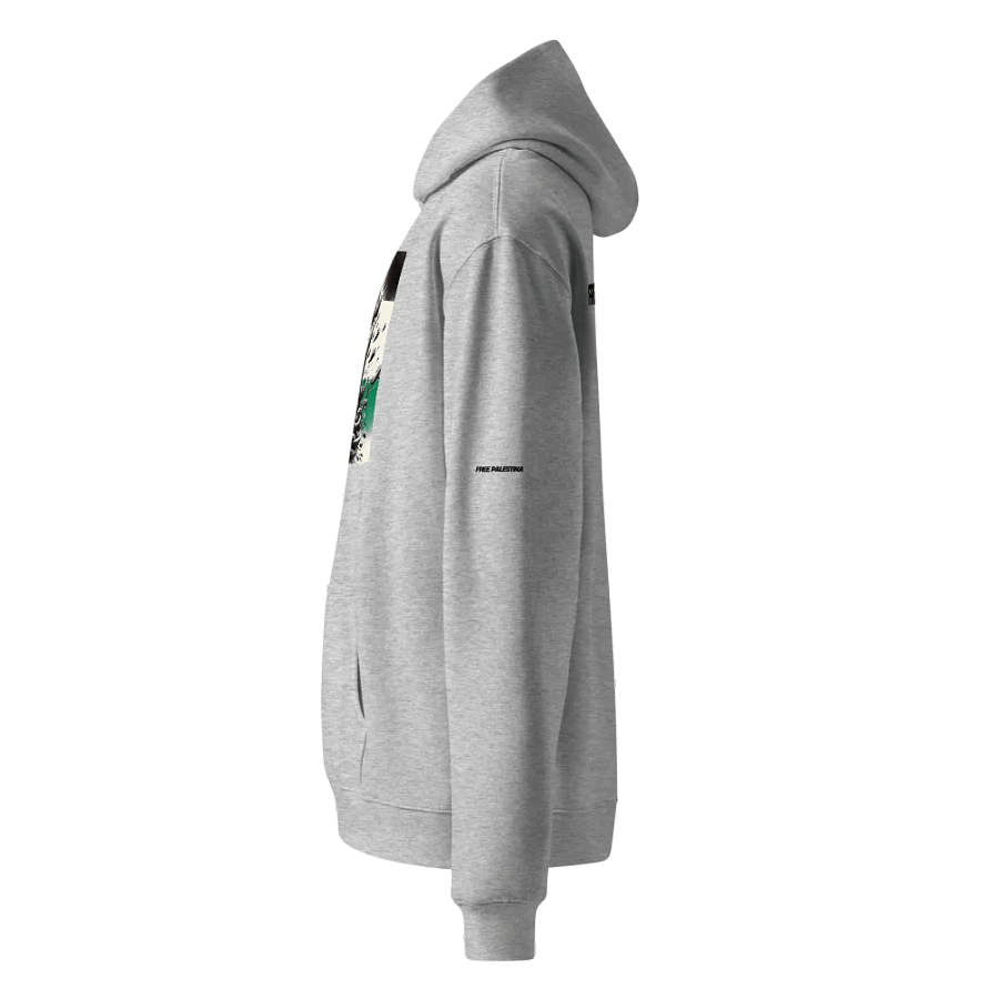 AS Colour Unisex Premium Oversized Hoodie | AI Design FREE PALESTINA product image (4)