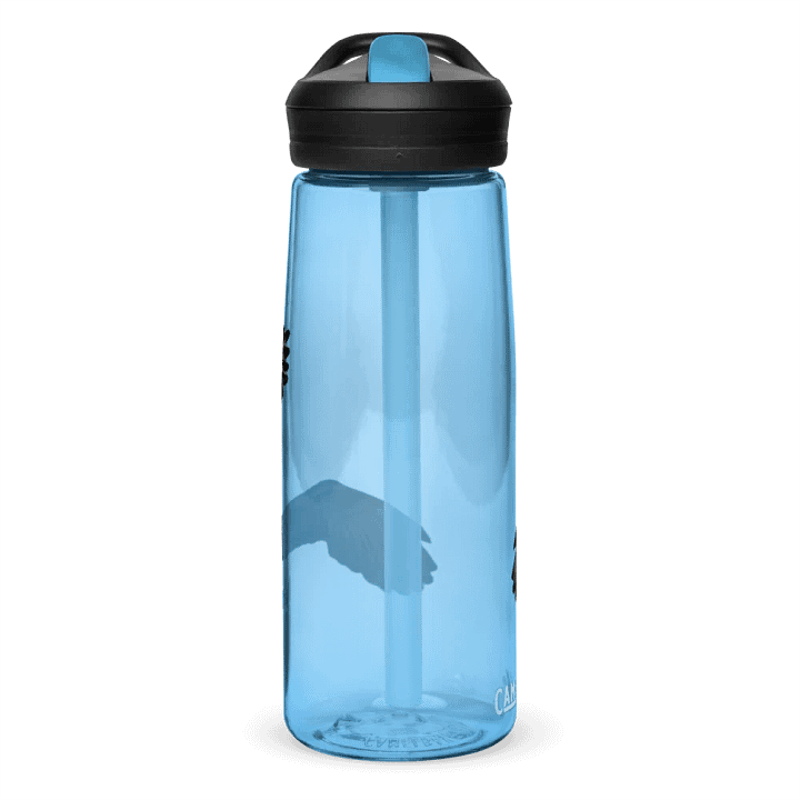 Eagle Drawing Water Bottle Straw product image (59)