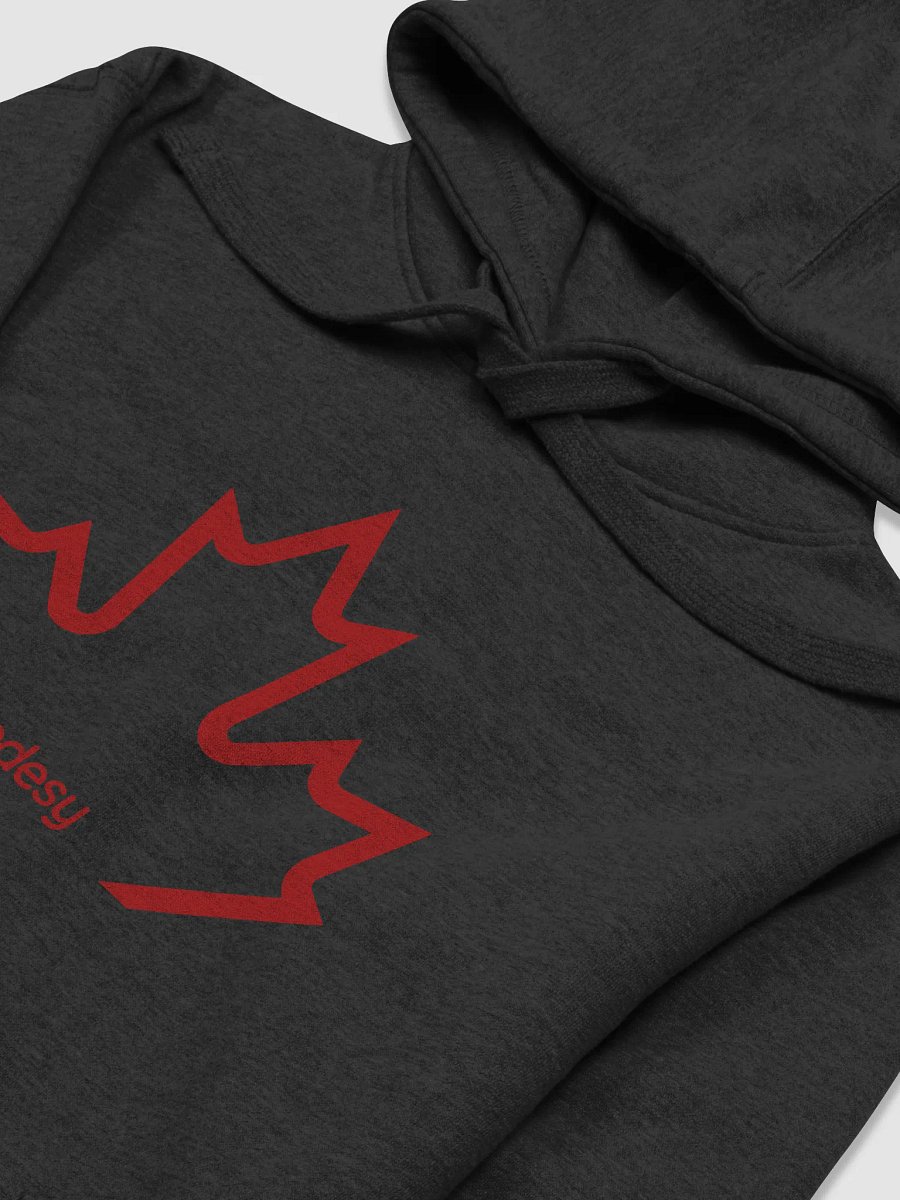 The Big Logo Hoodies product image (3)