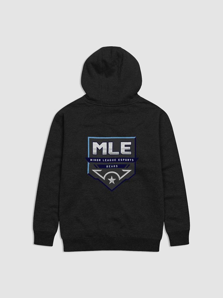 Bears Premium Unisex Hoodie product image (15)