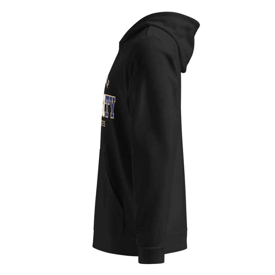 All-Star Varsity League x Adidas – Limited Edition Hoodie product image (2)