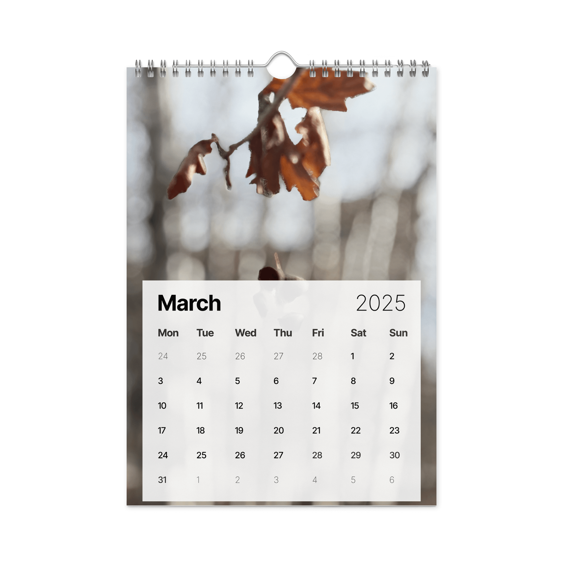 Golden Harvest: 2025 Mushroom Wall Calendar product image (9)