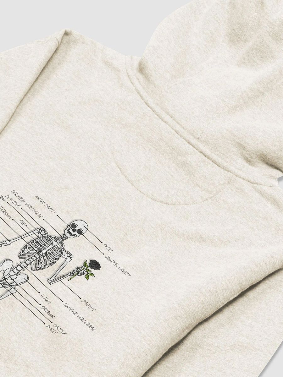 Hello and Welcome Hoodie product image (3)