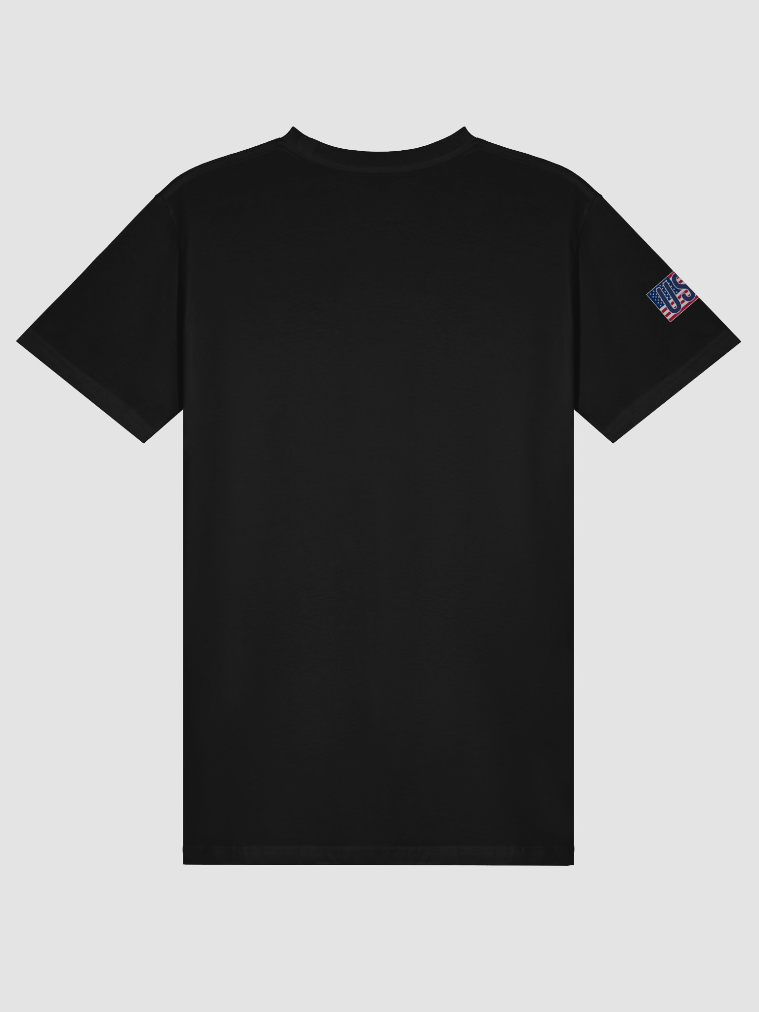 Joyfest USA Unisex Premium Tee product image (5)