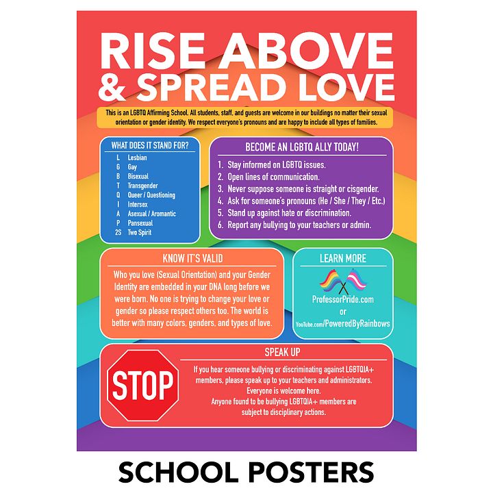 Rise Above Bullying Posters (for Schools) product image (1)