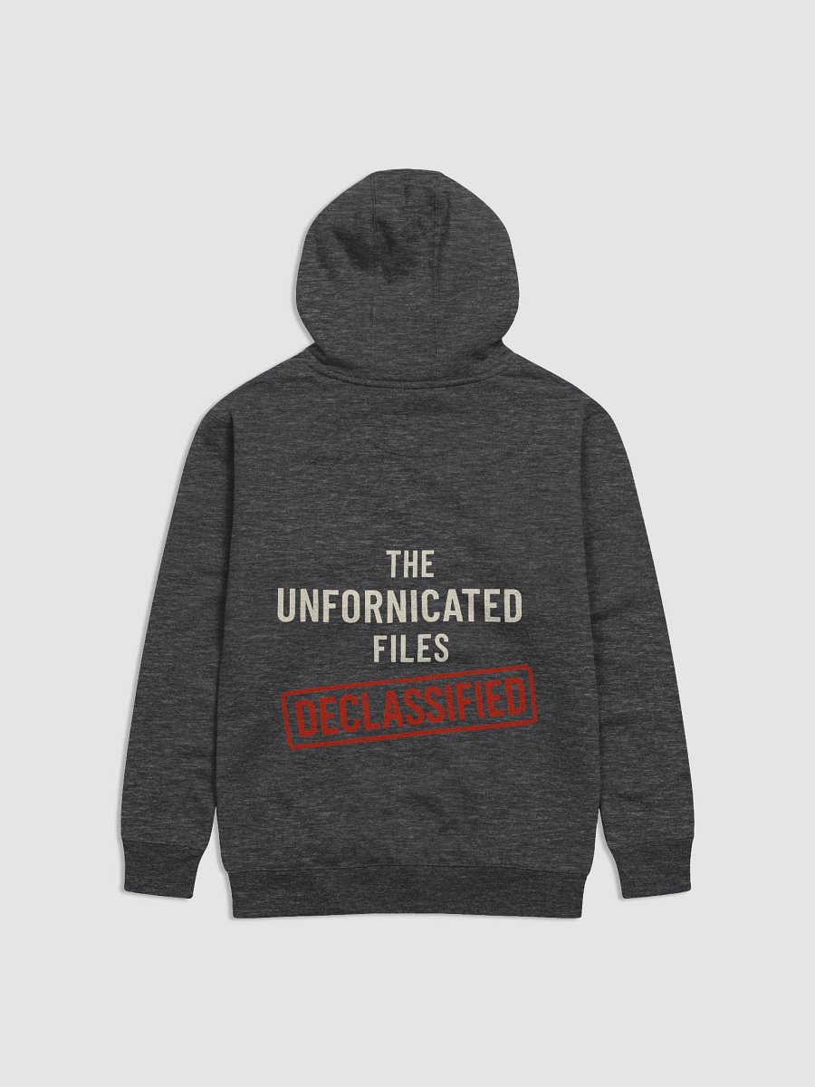 Declassified Hoodie product image (4)