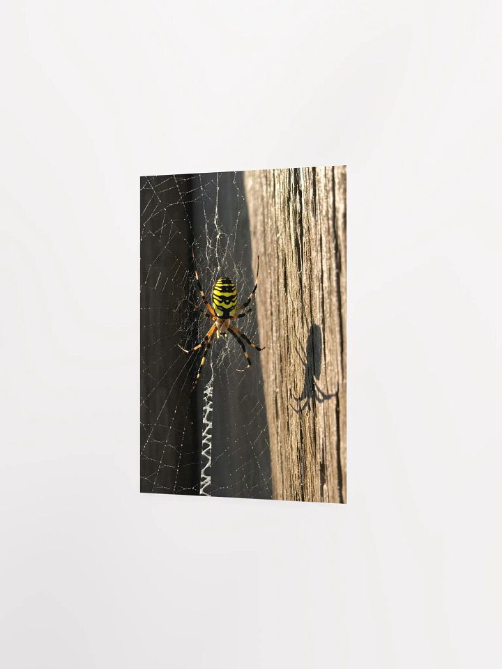 Golden Web: Yellow Garden Sentinel Poster product image (2)