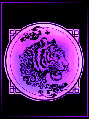 Year of The Chicken [13x13] product image (4)