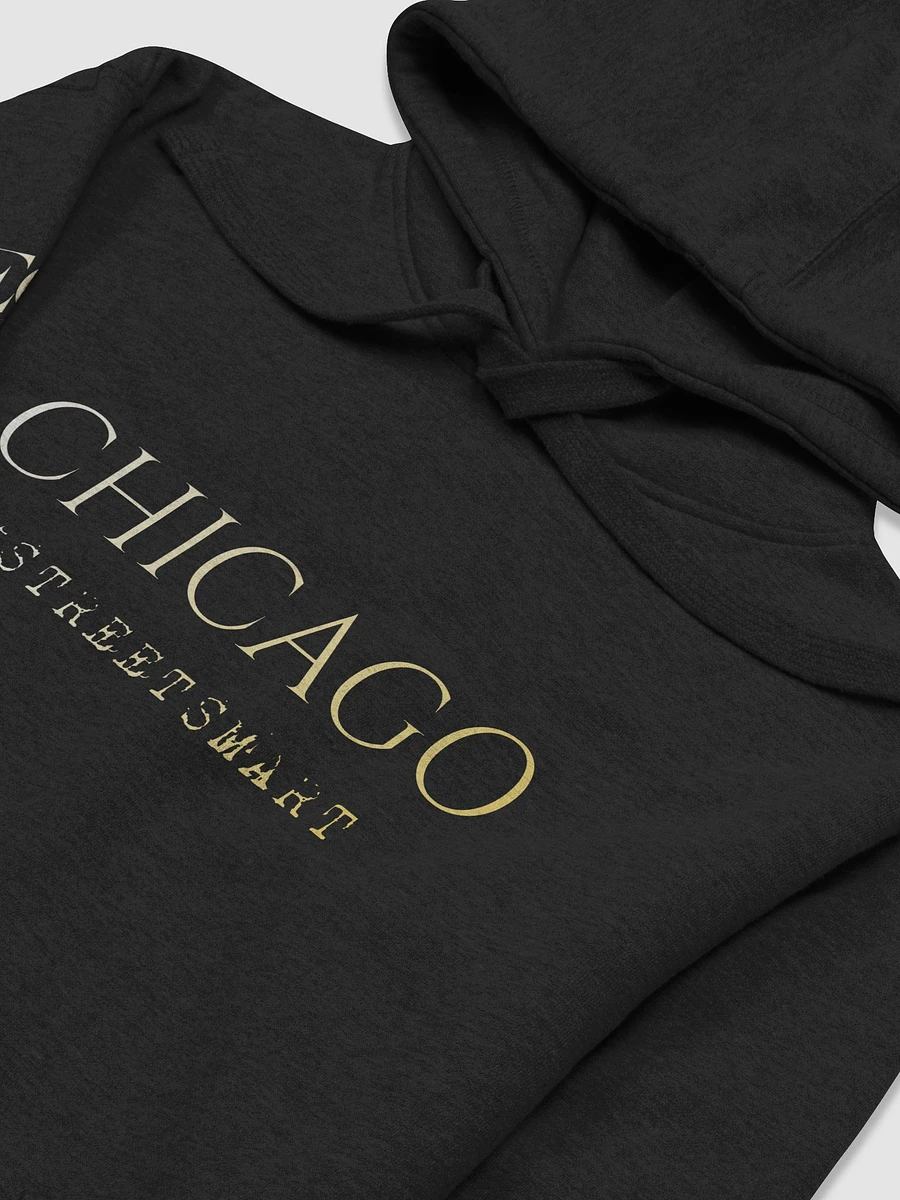 Chicago EO Hoodie product image (3)