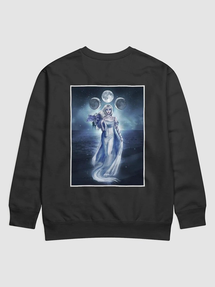 sweatshirt product image (2)