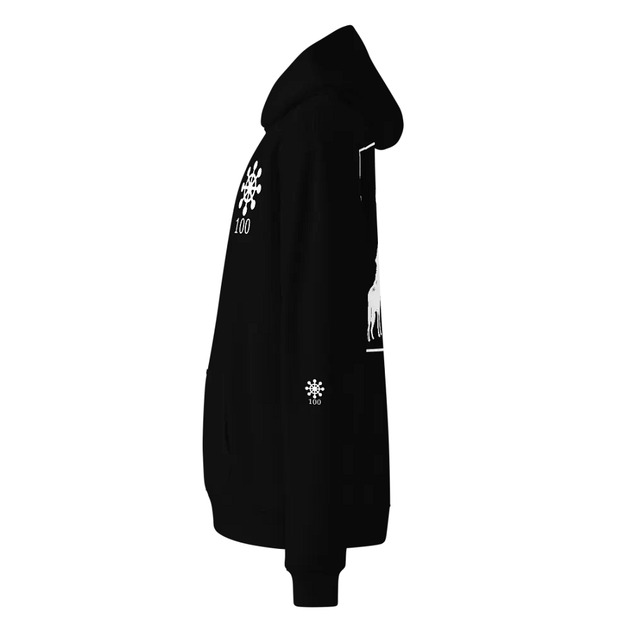 Shadow Ritual Hoodie Black product image (11)