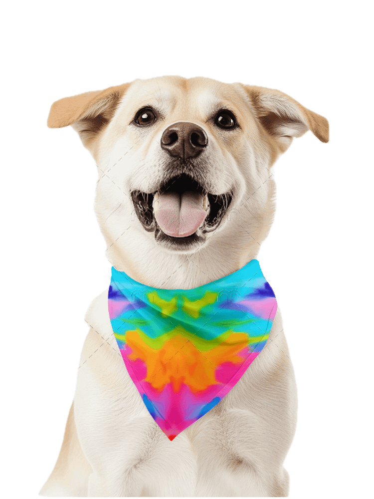EIFFEL PARIS • CAT & DOG BANDANA product image (1)