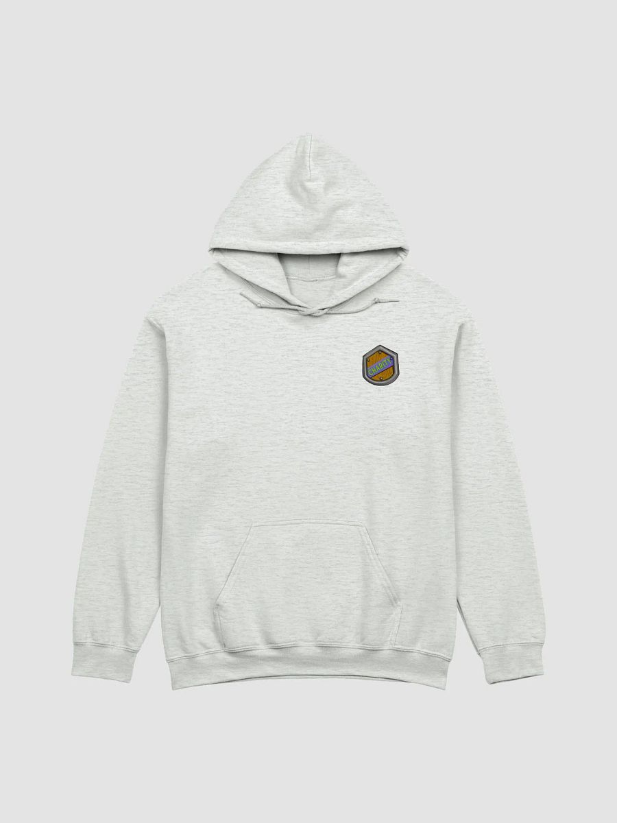 Charity Shield Hoodie (Plus Size) product image (3)