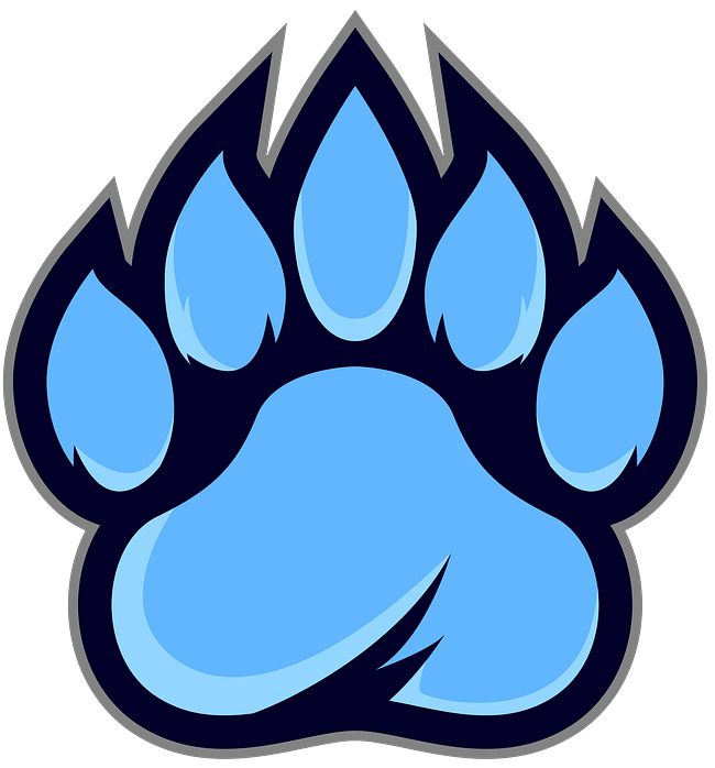 Bears