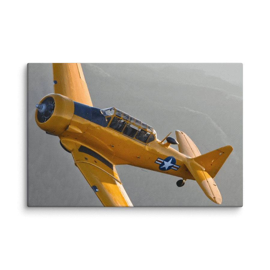T-6 Texan in Flight product image (4)