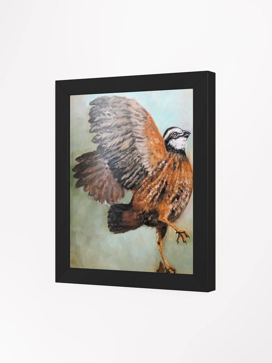 Bobwhite Quail product image (15)