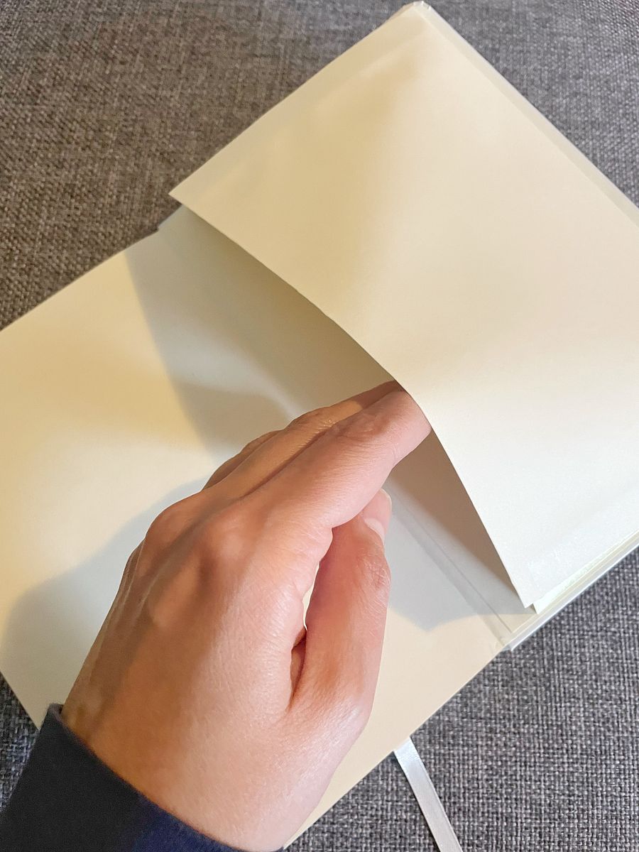 Shiny New Thing Syndrome Journaling Notebook product image (17)