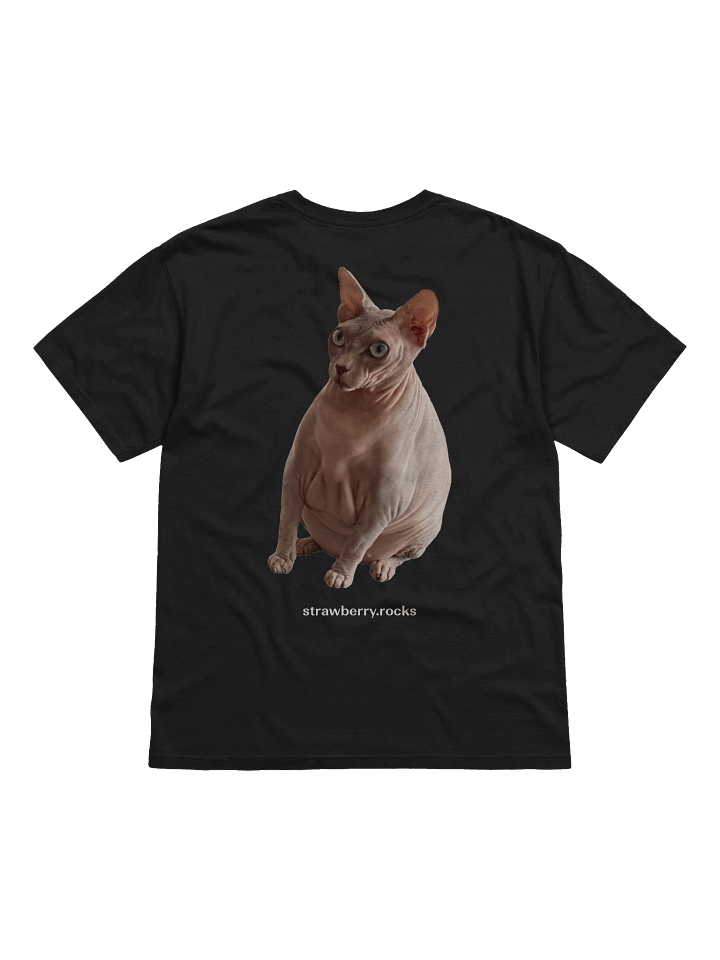 Thiago's cat judging your code product image (2)