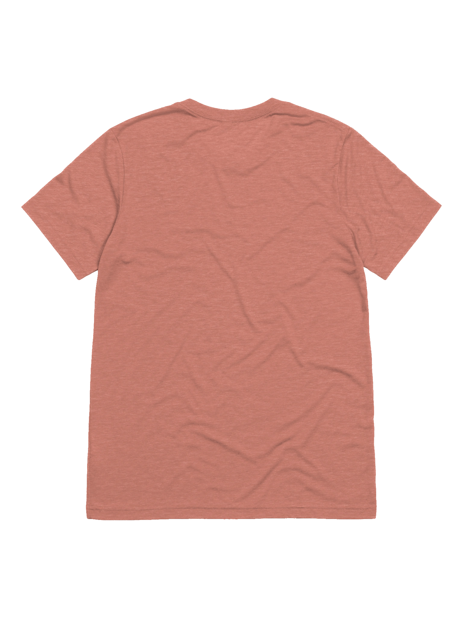 Fly Illustration Tri-Blend Tee product image (21)