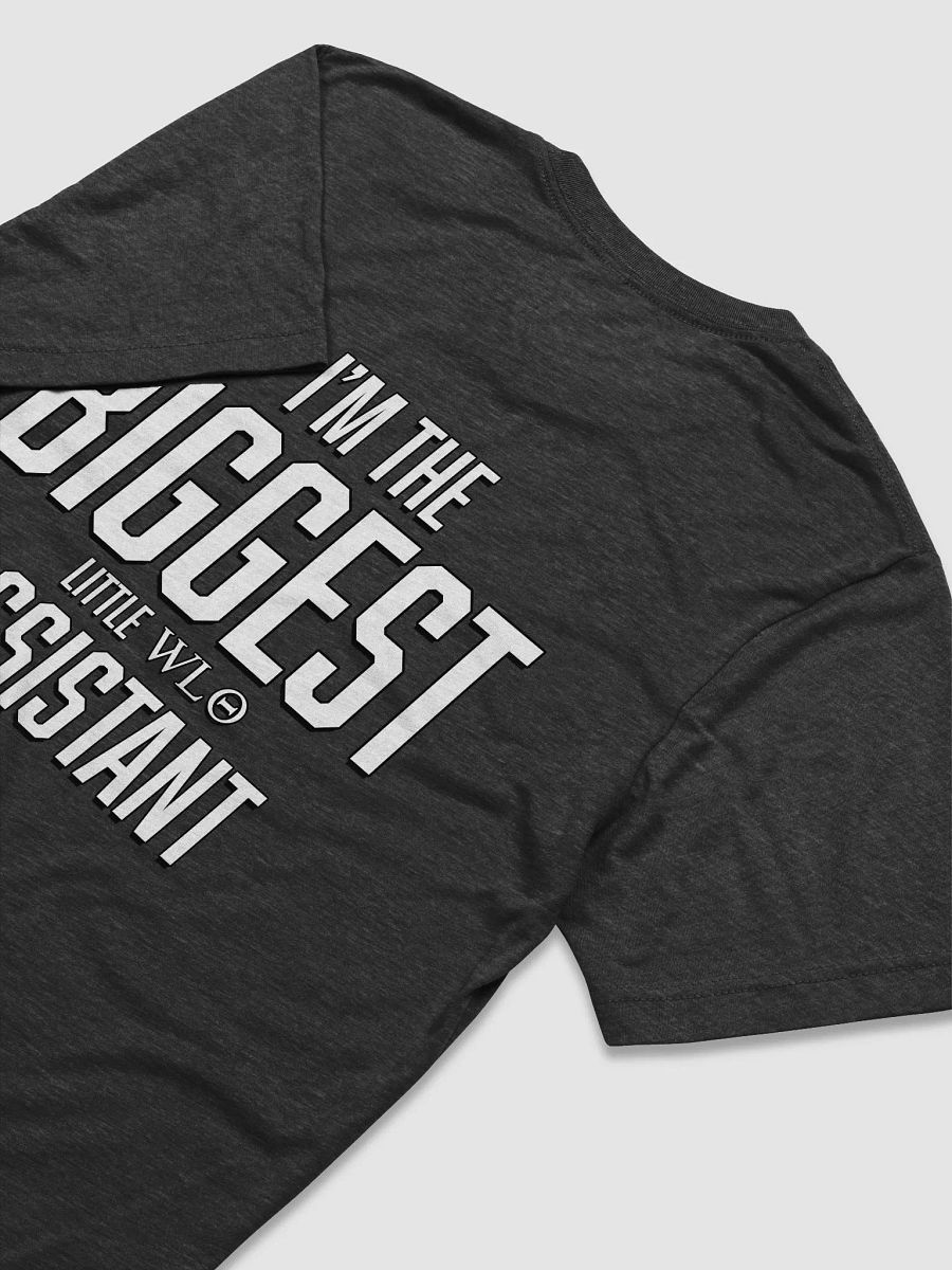 Little Big Assistant WLO Shirt product image (14)