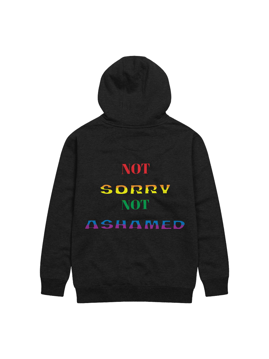 Not Sorry Not Ashamed product image (11)