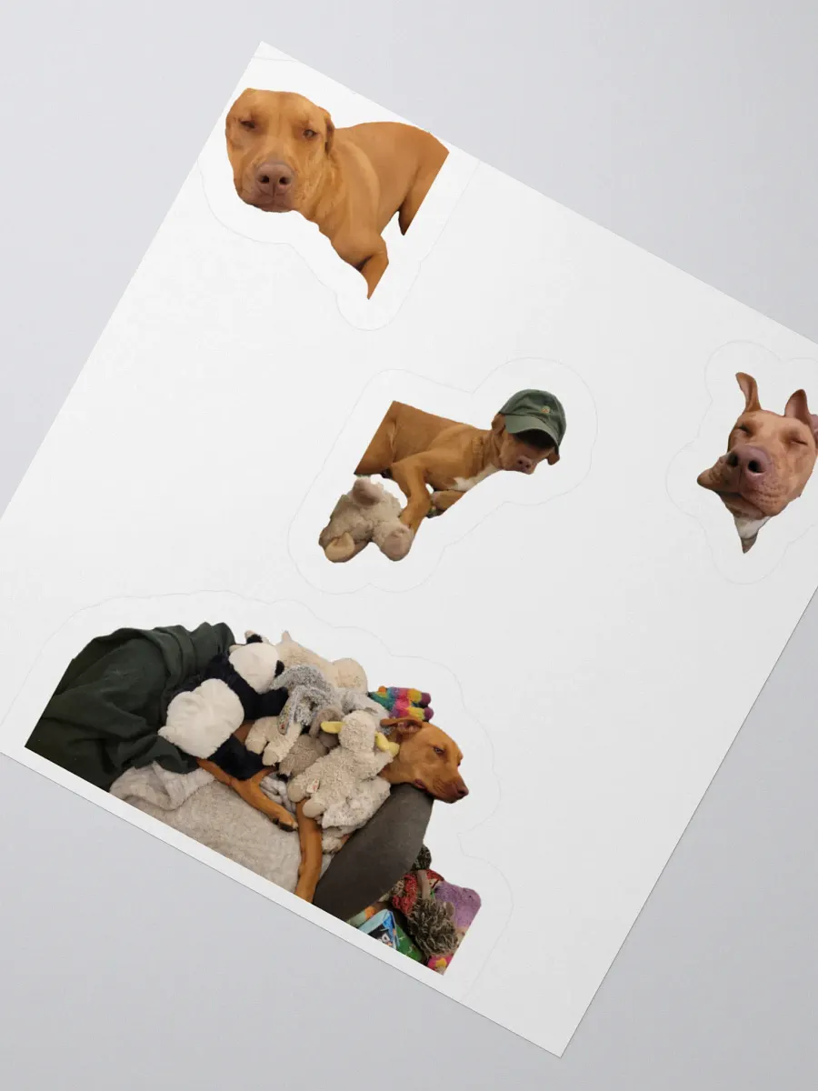 Ginger product image (2)