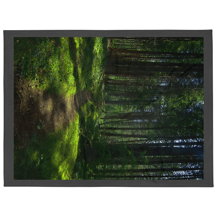 Lower Dungeness Trail Timber sun lighting Throw Blanket product image (2)