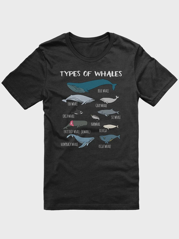 Types of Whales - Black T-Shirt product image (1)
