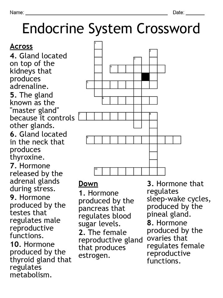 Endocrine System Crossword Puzzle – Fun Biology Activity product image (1)