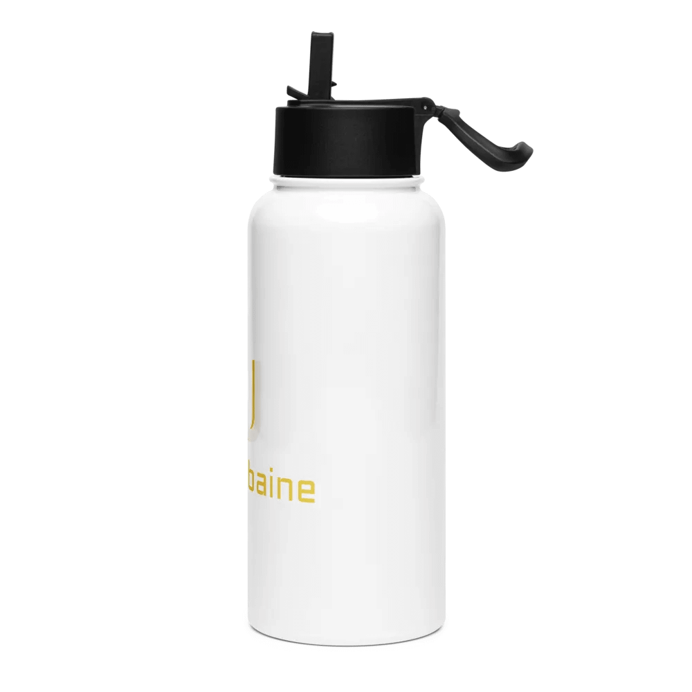 Stainless Steel Water Bottle with a Straw Lid product image (3)