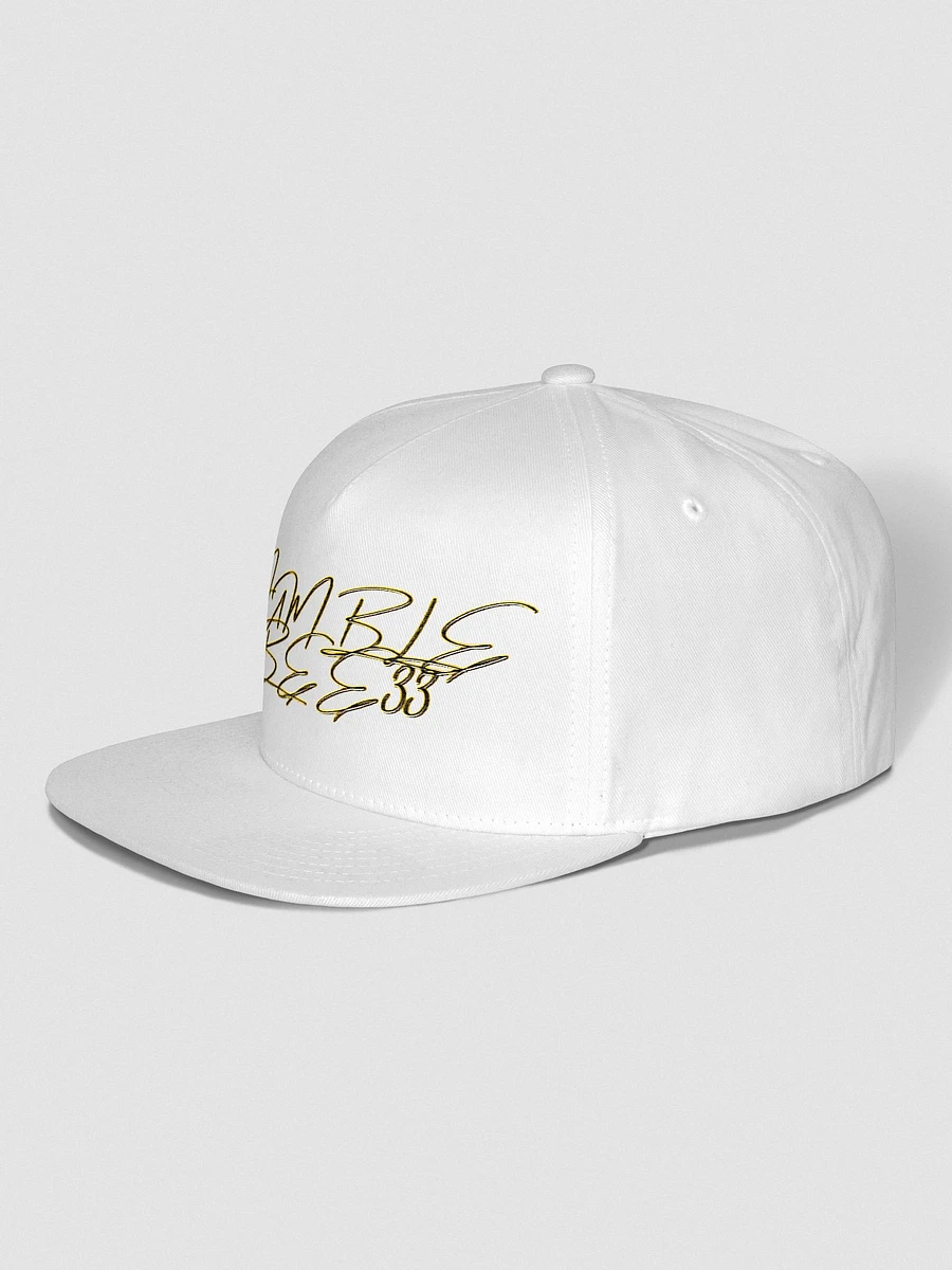 Dumblebee33 Signature Snap Back (Light) product image (14)