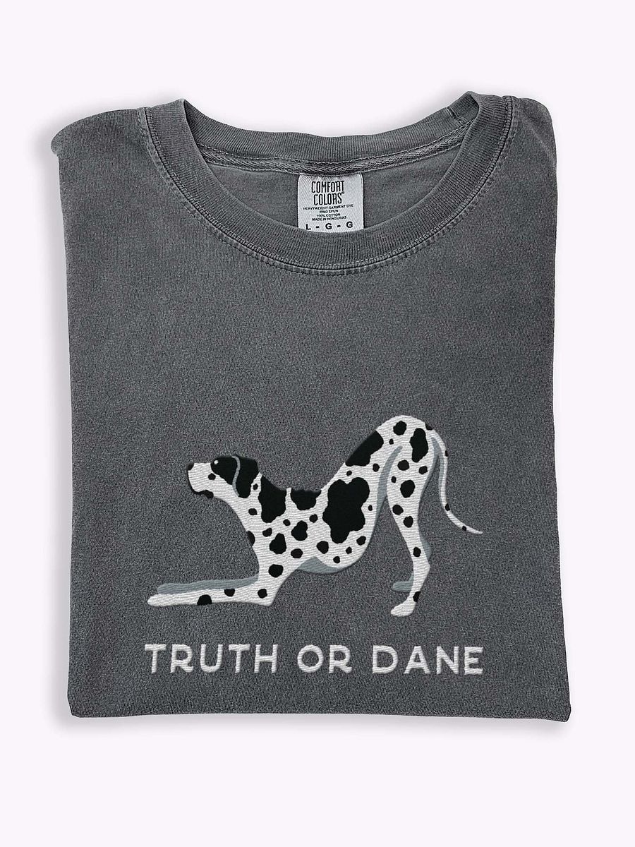 Truth or Dane T-Shirt(Embroidered) of a Great Dane(Harlequin) product image (1)