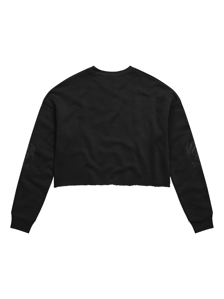 Team K V-4 Crop Sweatshirt product image (2)