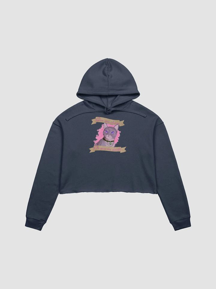 Newt Cropped Hoodie product image (10)