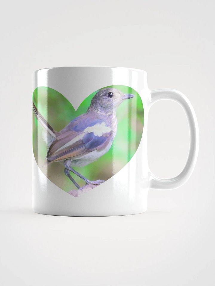 IUCAA Birds WHITE MUG product image (1)