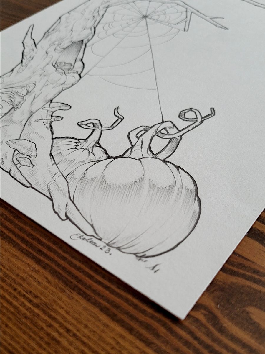 ‘Toad in the Hole’ Original Work, 2023 product image (3)